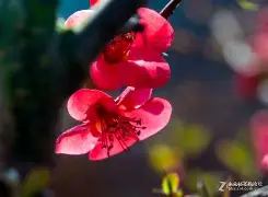 漳H裾??!羦CW?綥M?G築8斪橖)1/霜+0唅禭??Z粫?覐蔎d^瀄5的简单介绍